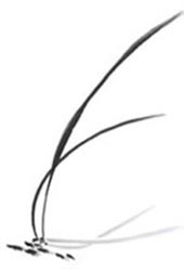 Kusakage